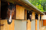 free Llanwrtyd stable construction quotes